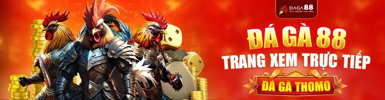 Đá Gà Trực Tuyến Hấp Dẫn tại mcw19 nhà cái